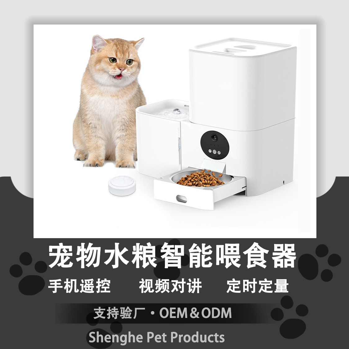 宠物用品